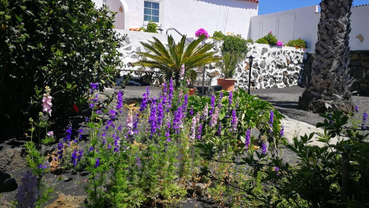 Finca Primavera El Paso Εξωτερικό φωτογραφία