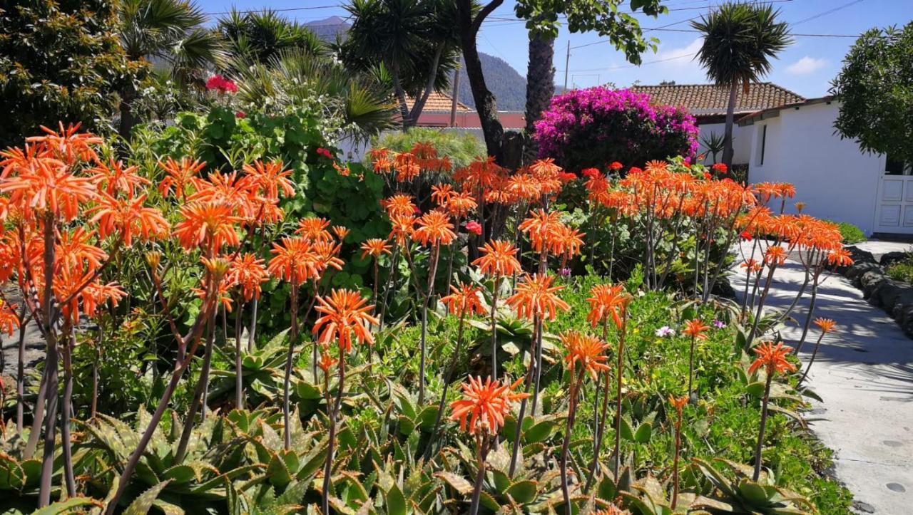 Finca Primavera El Paso Εξωτερικό φωτογραφία
