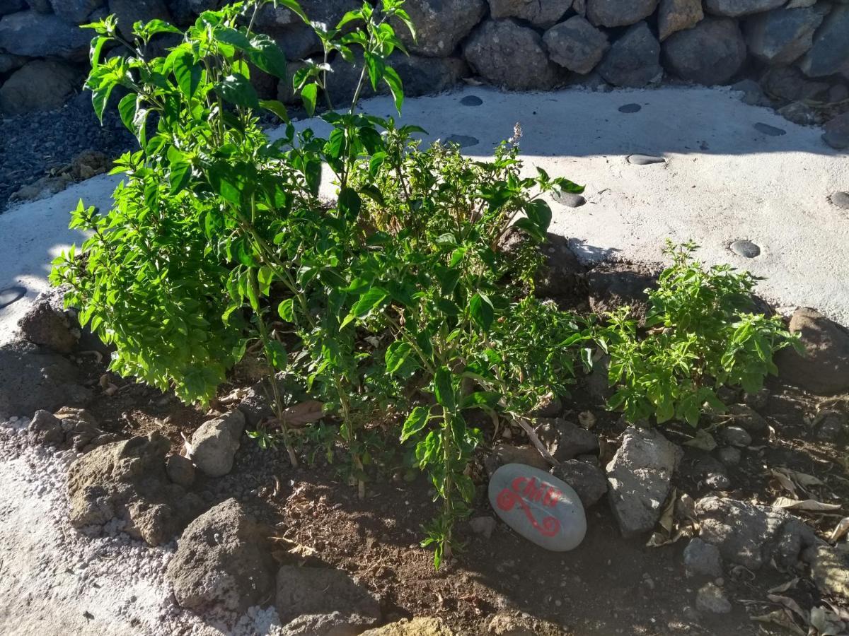 Finca Primavera El Paso Εξωτερικό φωτογραφία