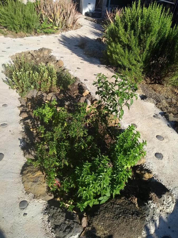 Finca Primavera El Paso Εξωτερικό φωτογραφία