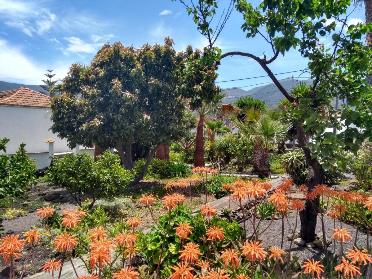 Finca Primavera El Paso Εξωτερικό φωτογραφία